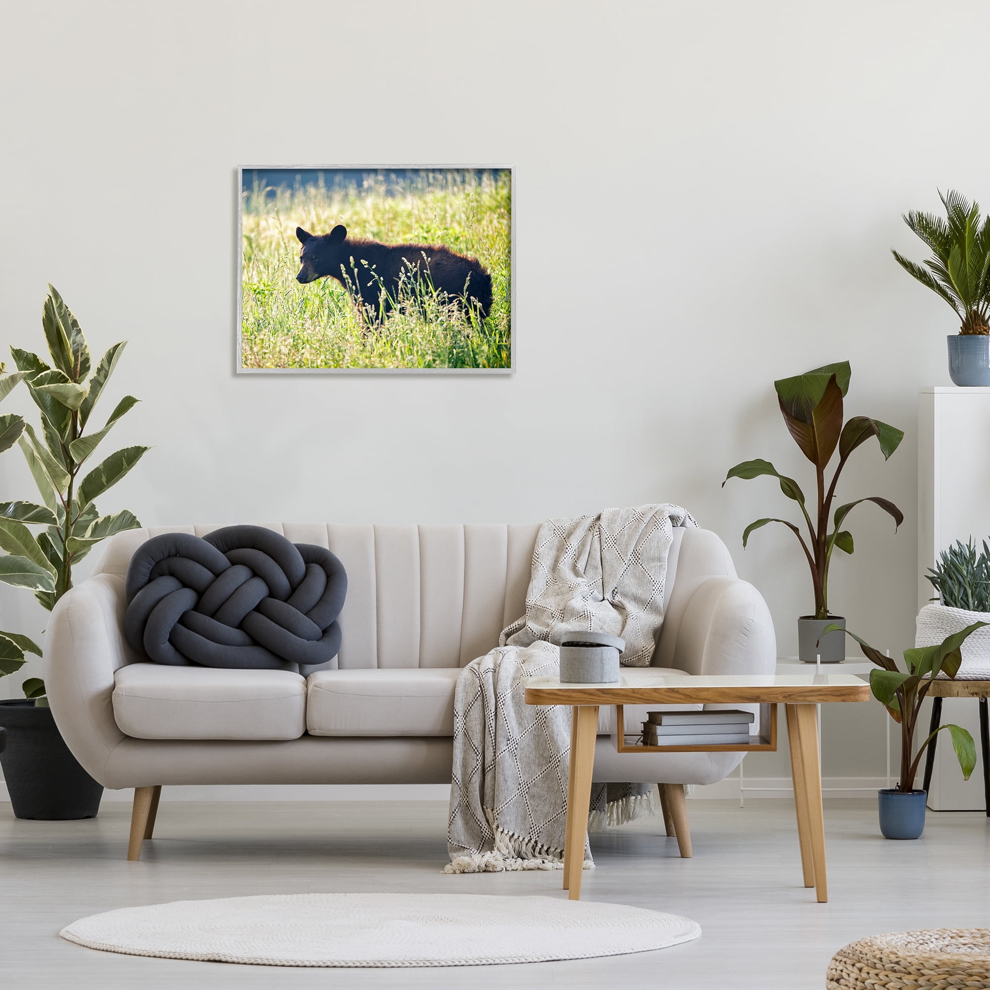 Stupell Baby Bear Tall Grassland Landscape Photography Gray Framed Art Print Wall Art