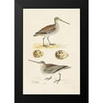 thumbnail image 2 of Morris 17x24 Black Modern Framed Museum Art Print Titled - Sandpipers and Eggs III, 2 of 5
