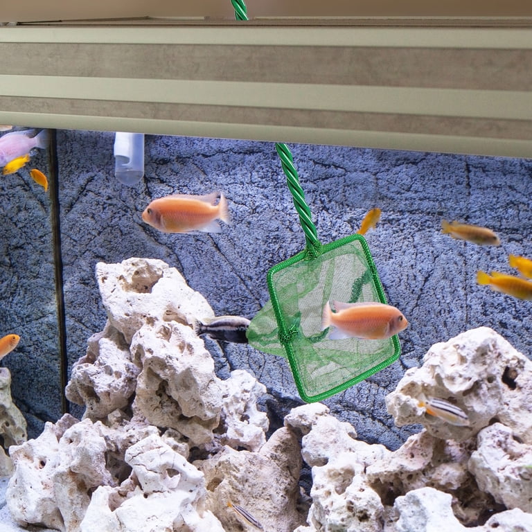 Global Bargains 3" x 2.7" Portable Handle Landing Net Fishing Fish Angler Mesh Aquarium Fish Tank Goldfish Shrimp Global Bargains 3" x 2.7" Portable Handle Landing Net Fishing Fish Angler Mesh Aquarium Fish Tank Goldfish Shrimp