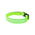 thumbnail image 2 of Collar LED recargable para paseos nocturnos - Collar de seguridad para mascotas impermeable y ajustable con luz en la oscuridad USB, 2 of 7