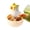 Yellow, variant on Parrot Feeder - Interactive Poly Bird Food Dispenser Toy, Durable Chew Resistant Design for Budgies Sun Conure Small Pet Birds Entertainment Use