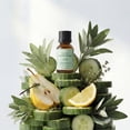 thumbnail image 1 of Homeidcs SereneScent™ Cucumber Sage 15ml Home Fragrance Essential Oil, 1 of 5