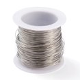 thumbnail image 1 of EIGTHTAIL 23m 0.5mm 316 Surgical Stainless Steel Wire for Jewelry Making Stainless Steel Color, 1 of 5