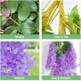 thumbnail image 5 of 5 Pcs Purple Wisteria Hanging Flowers, 3.6Ft/Pcs Fake Wisteria Flowers, Artificial Hanging Wisteria Garland for Wedding Party Home Backdrop Wall Decorations, 5 of 5