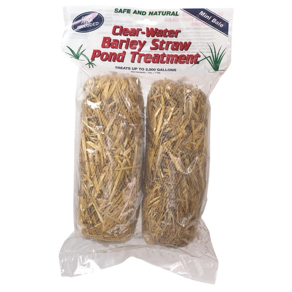 STRAW BARLEY POND TRT (Pack of 1)