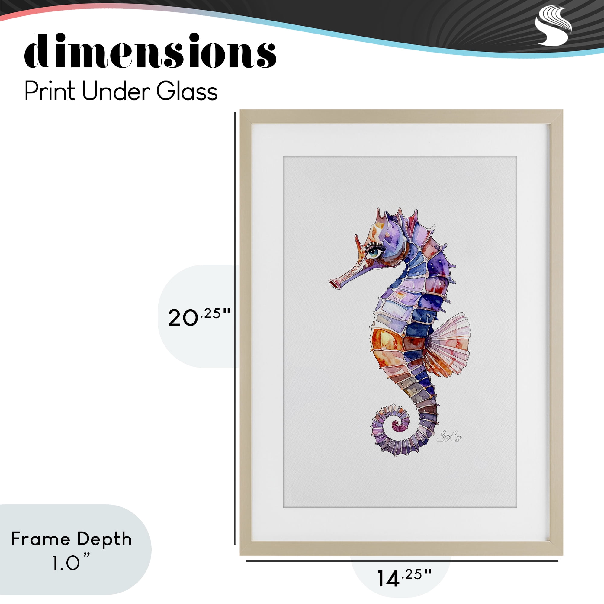 Stupell Industries Sea Whisper Seahorse Birch Framed Print Under Glass, design by Shelly Craig