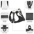 thumbnail image 6 of Lsque Vintage Stylized White Color Dog Harness, No-Pull Pet Harness with 2 Leash Clips, Adjustable Soft Padded Dog Vest with Easy Control Handle for Large Dogs-Large, 6 of 9