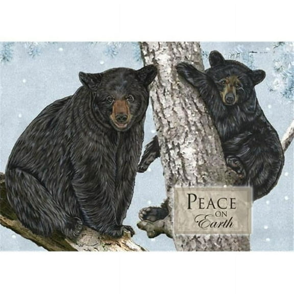 Pipsqueak Productions C719 Holiday Bears Wildlife Christmas Boxed Cards - Pack of 10