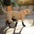 thumbnail image 6 of Anti Slip Dog Socks 2 Pairs - Dog Cat Grip Socks with Straps Traction Control for Indoor on Hardwood Floor Wear, Pet Paw Protector for Small Medium Large Dogs, 6 of 8