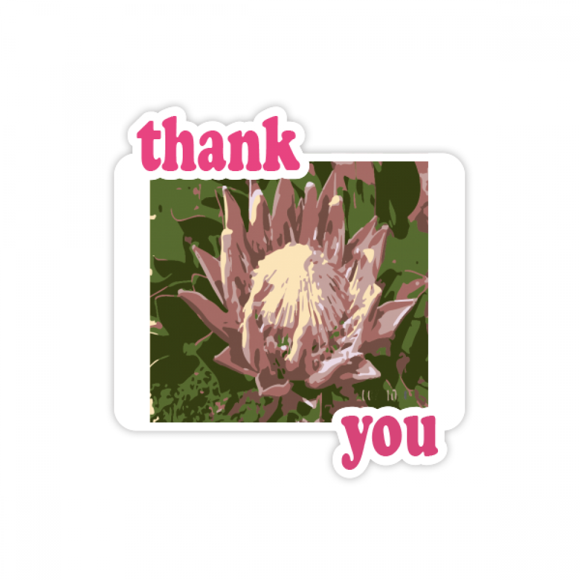 South Africa Lily Brodiaea Thank You Stickers Quote Grateful