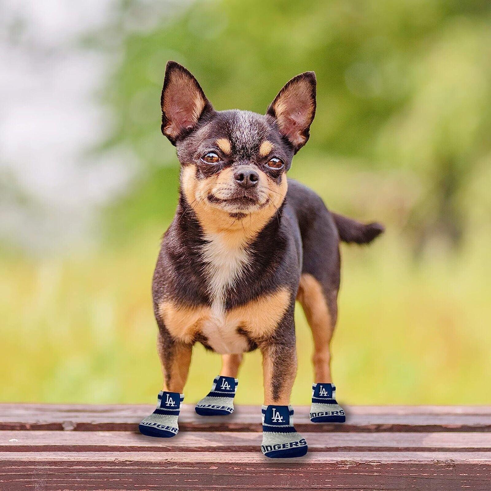 Pets First MLB Houston Astros Anti Slip Pet Dog Socks, Elastic Ribbed Top, Medium/Large Pair Paw Protector