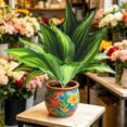 thumbnail image 6 of Artificial Zebra , 19.6" Zebra Leaf Spray, Aphelandra Squarrosa with Green & Yellow Stripes, Maintenance Free Greenery for Home Office Table Centerpiece, 6 of 7