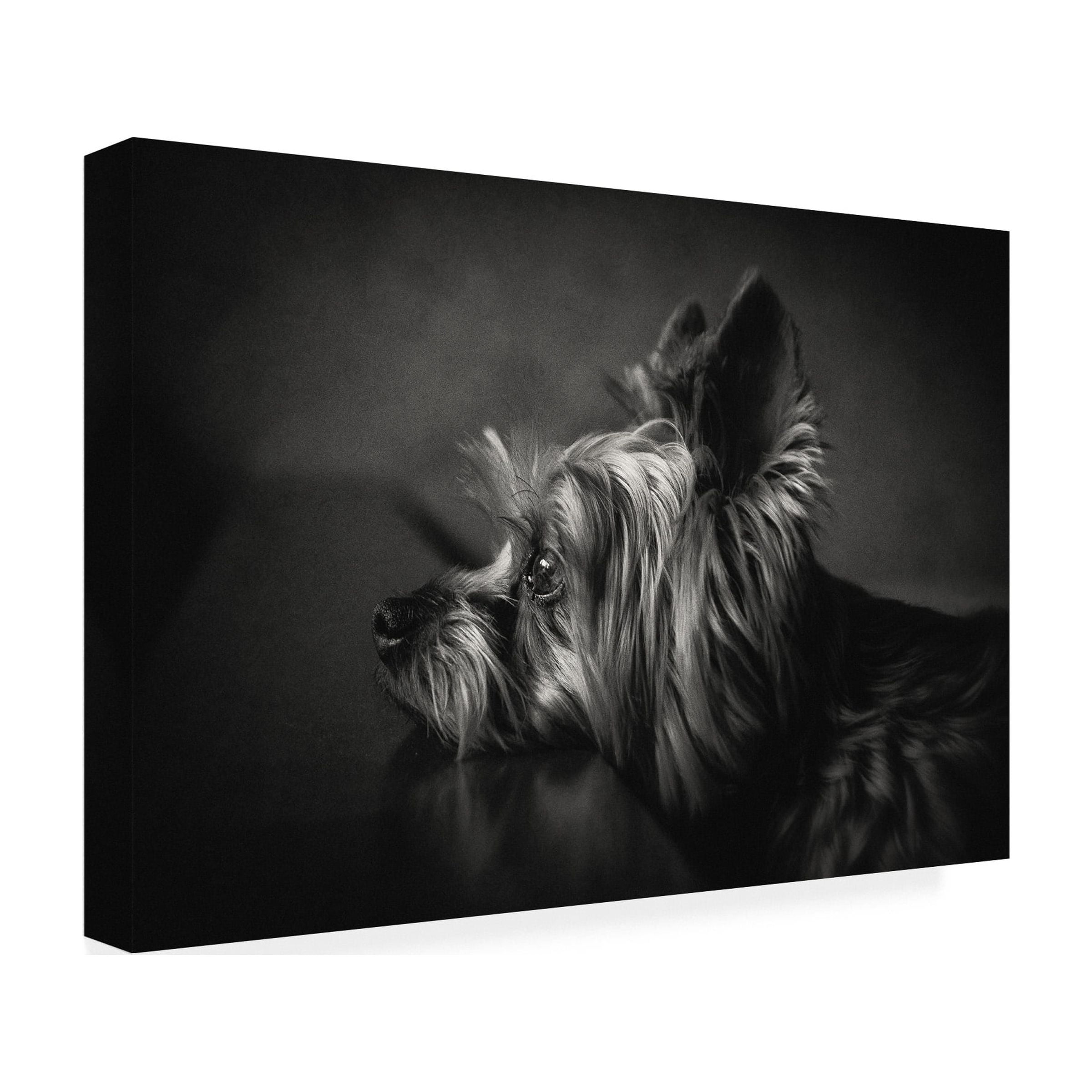 Krisztina Lacz 'I Have Been Waiting For You ...' Canvas Art