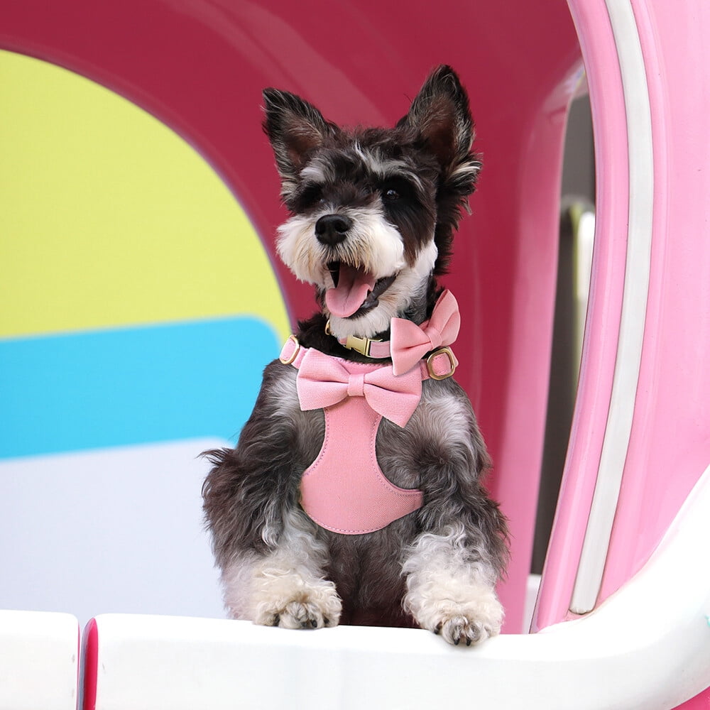 Pet Artist 4pcs Cute Bowtie Dog Harness and Collar and Leash and Poo Bag Holder Adjustable Pet Puppy Cat Vest