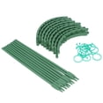 thumbnail image 1 of Plant Support Cage, Flower Climb Stake Sturdy Structure 25cm Better Display  For Eggplant, 1 of 8
