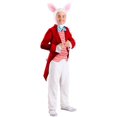 thumbnail image 1 of Dignified White Rabbit Déguisement pour Enfants, 1 of 3