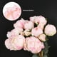 thumbnail image 2 of Flores artificiales ICBOX, 2 ramos de peonías rosas, 18 unidades, 2 of 8