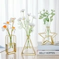 thumbnail image 4 of Plant Holder 2Pcs/Set Gift Geometric Chic Star Shape Bracket Glass Plant Holder, 4 of 5