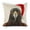 Black and Chestnut Eagle with Santa Hat 1, variant on Baby Deer Linen toss pillowcase decoration pillowcase gifting preferred 18x18 inch cushion cover sofa pillowcase sofa bedroom living room car