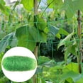 thumbnail image 4 of POINTERTECK Plante Grimpante Filet Robuste Résistant à l'Usure Polyéthylène Plante Végétale Cultive Soutient Filet Fournitures à Domicile, 4 of 10