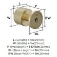 thumbnail image 5 of Amerock Balata 1 inch (25mm) Diameter Golden Champagne Cabinet Knob, 5 of 6