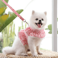 thumbnail image 3 of Dog Cat Pet Clothes Chest Strap Traction Rope Lace Teddy Bear Spring Summer Autumn Dog Walking Rope Supplies, 3 of 7