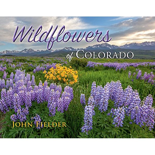 Wildflowers of Colorado - Walmart.com - Walmart.com