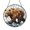 Acrylic 3.5 Inch, variant on Wildlife Bear Glass Suncatcher Hanging Window Nature Theme Decoration Gift
