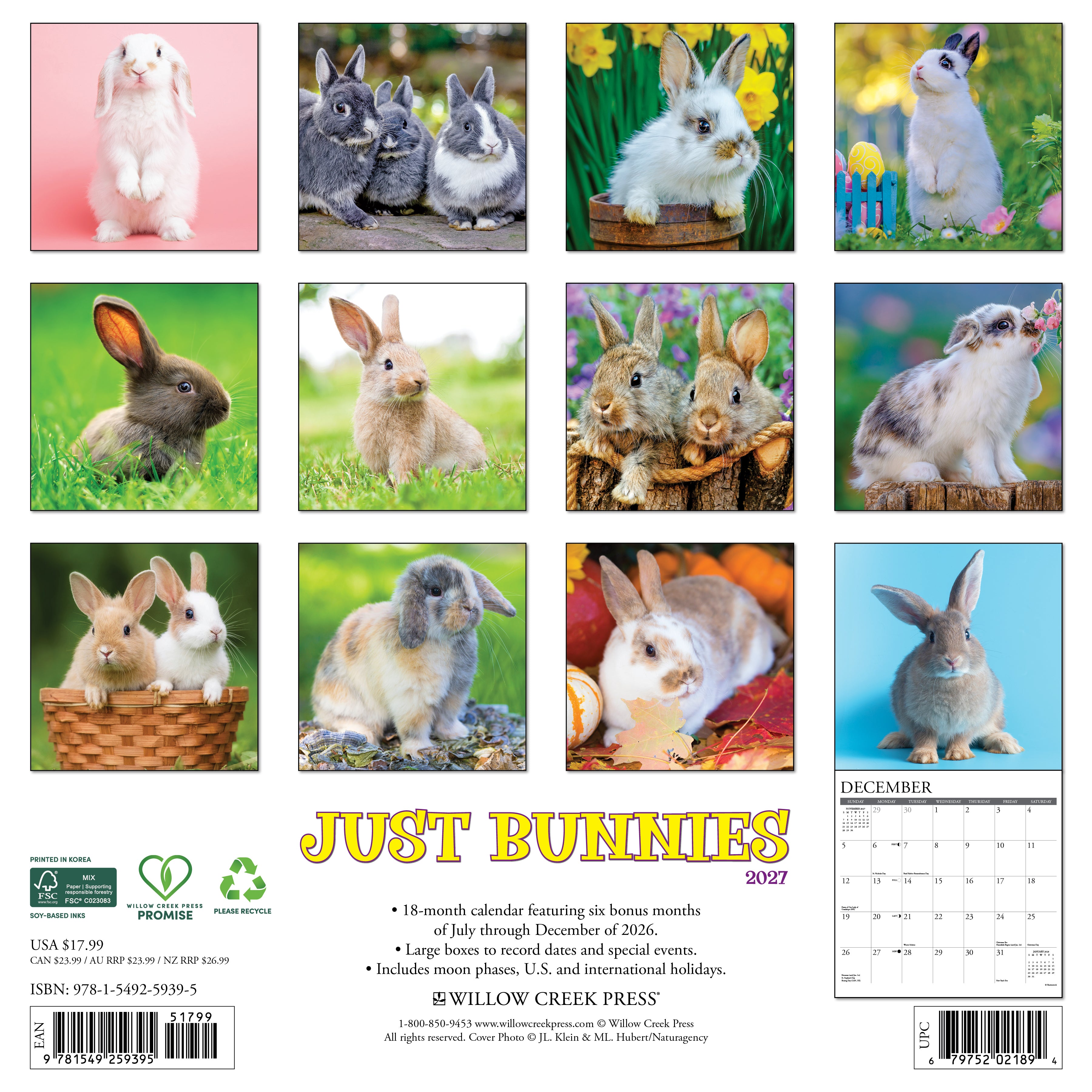 Willow Creek Press, Bunnies 2027 Wall Calendar