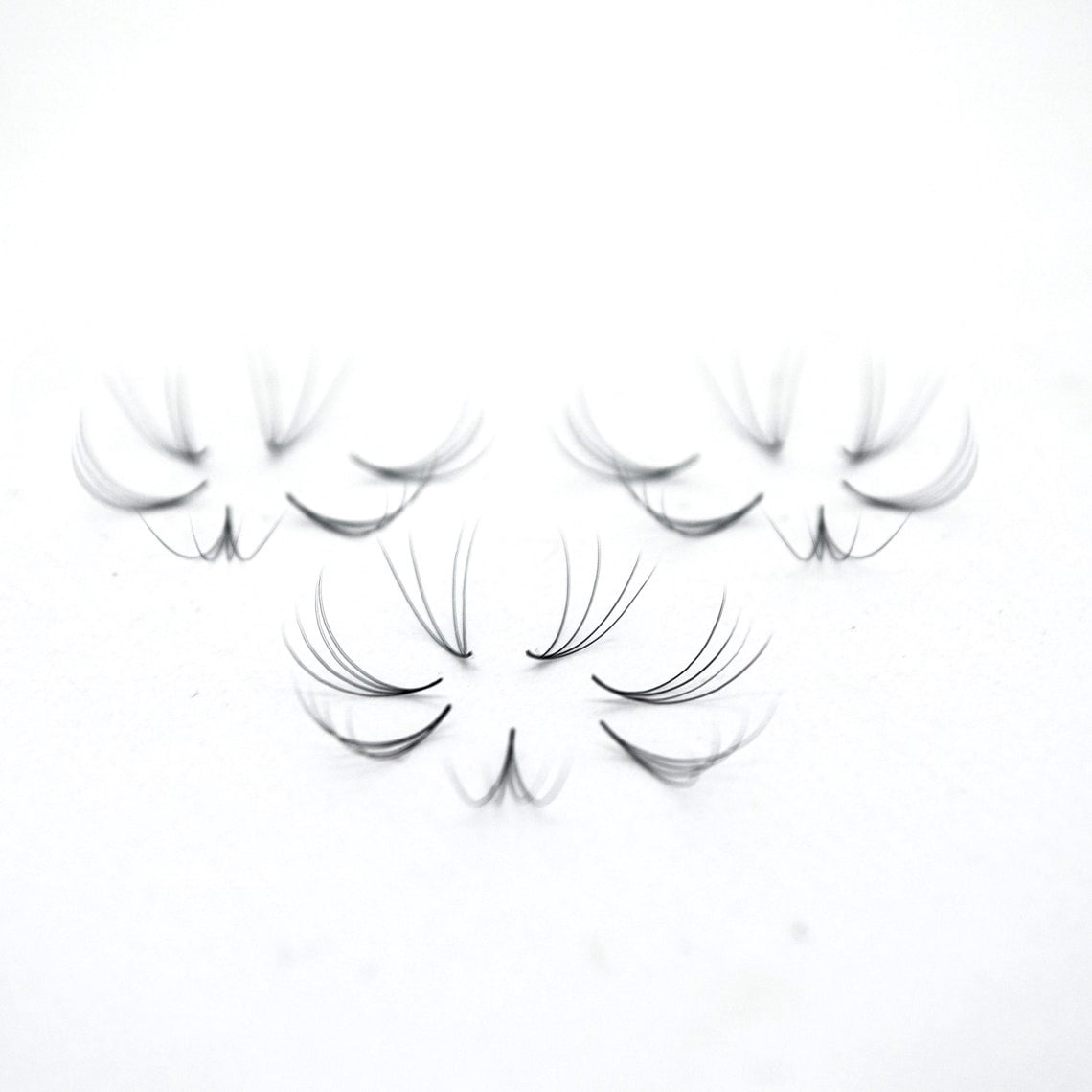 4D Curl C Lashes, 1000 Premade Volume Fans, Eyelash Extensions, Handmade - Gorgeouslash!