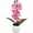 Pink, variant on Artificial Phalaenopsis orchid potted plant with 7 Floral flowers Deco Home