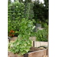 thumbnail image 5 of Panacea Products Steel a-Frame Trellis - Green, 1" Deep x 18" Wide x 48" Tall, 3.3 Lbs., 5 of 6