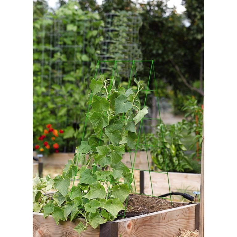 Expert Gardener Steel A-Frame Trellis, 18x48 In., Green photo 6