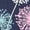 NAVY, variant on Instant Message - Pastel Dandelions - Women's Maternity Scoop Neck Graphic T-Shirt