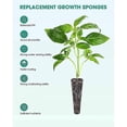 thumbnail image 3 of 50 Pack Grow Sponges, Seed Pods Replacement Root , Refill Pods for Indoor Garden Growing System, 3 of 5