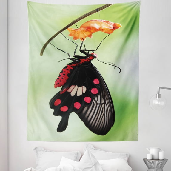 Swallowtail Tapestry, Moment Coming out of Cocoon Chrysalis Transformation, Fabric Wall Hanging Decor for Bedroom Living Room Dorm, 5 Sizes, Red Black Green, by Ambesonne