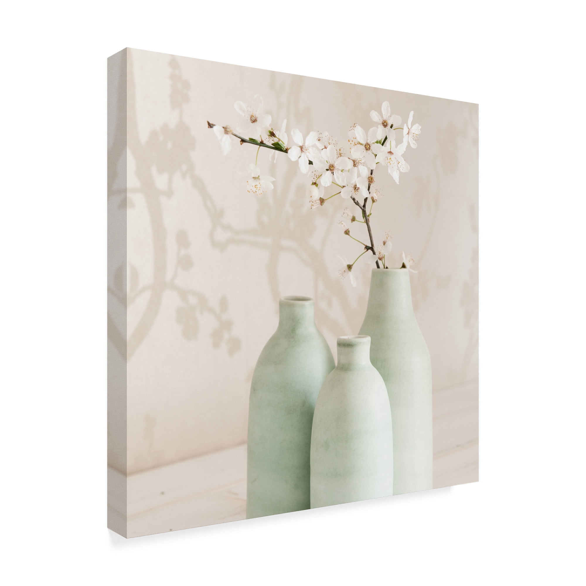 Trademark Fine Art 'Blossom With 3 Vases' Canvas Art by Tom Quartermaine