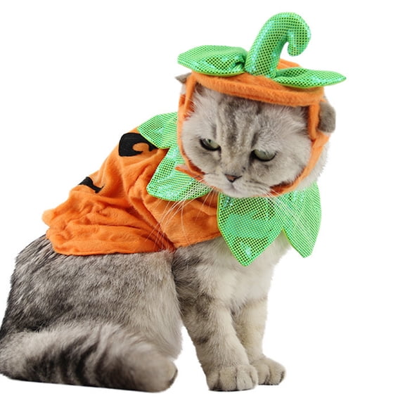 Pet Costume Pet Halloween Pumpkin Festival Halloween Costume Pumpkin Suit