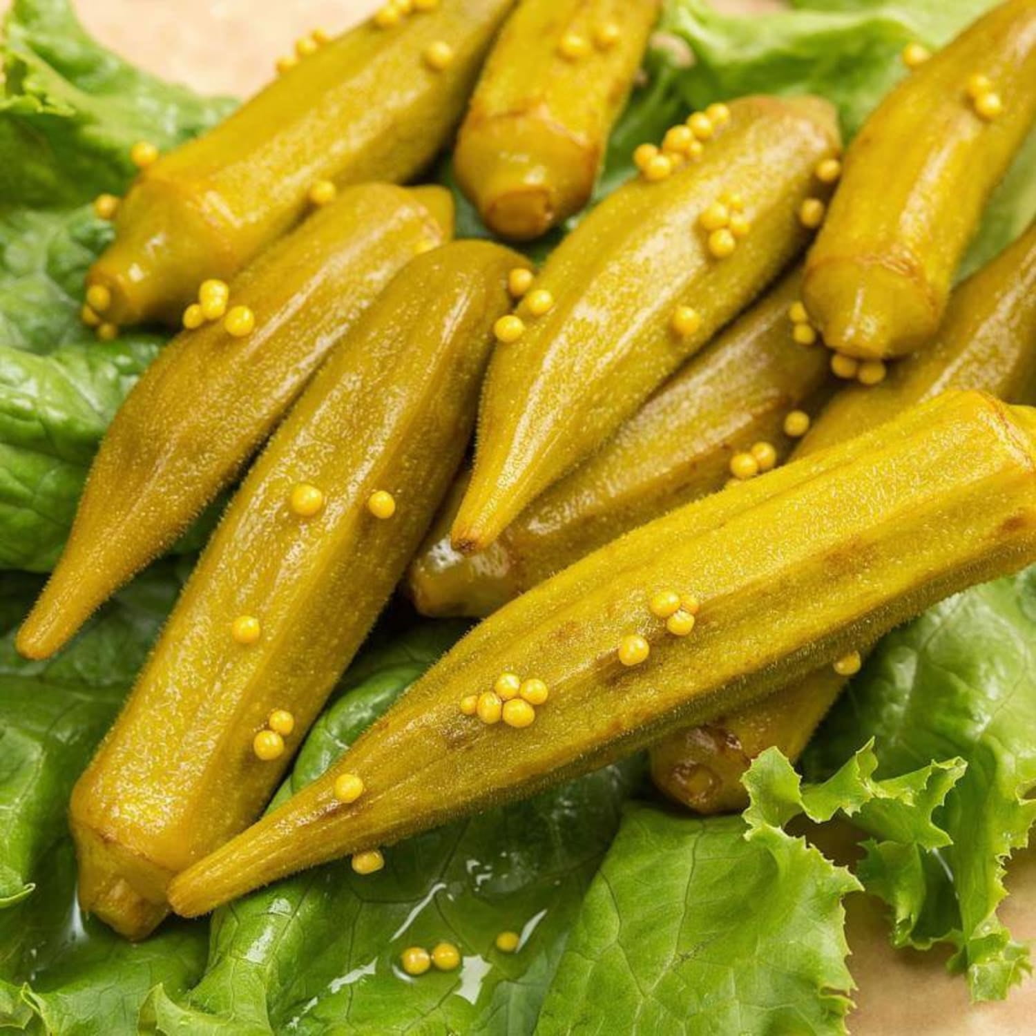 Fresh All Natural Hot Pickled Okra from Amish Country Pack of Two 16 oz Jars