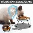 thumbnail image 3 of Elevated Cat Bowl,Raised Ceramic Cat Food Bowls with with Non-Slip Mat,Whisker Fatigue Cat Bowl Elevated Dishwasher Safe Cat Dishes for Indoor Cats, Kitten, Puppies and Small Dogs (1 Fish+1 Paw), 3 of 7