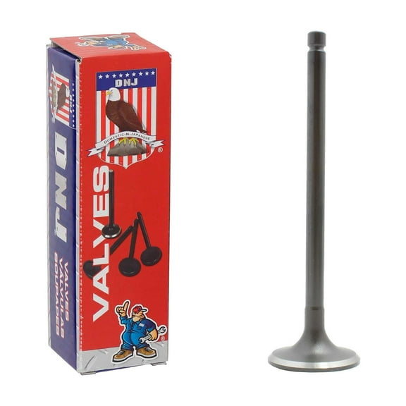 DNJ IV607 Intake Valve Fits Cars & Trucks 89-97 Nissan 240SX Axxess 2.4L L4 SOHC 12v