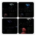 thumbnail image 6 of Optic Lighting Smart 20W Twinkle Fiber Light Engine ,control Cable Starry Effect Ceiling Double Heads Lights LED Lamp, 6 of 7