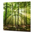 thumbnail image 1 of Domqga Rideau Occultant, Rideaux de Chambre, Rideaux Occultants à Imprimé Soleil de Forêt pour Balcon, Chambre, Salon, Fenêtre, 1 of 10