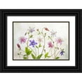 thumbnail image 1 of Disher, Mandy 18x13 Black Ornate Wood Framed with Double Matting Museum Art Print Titled - Columbine, 1 of 4