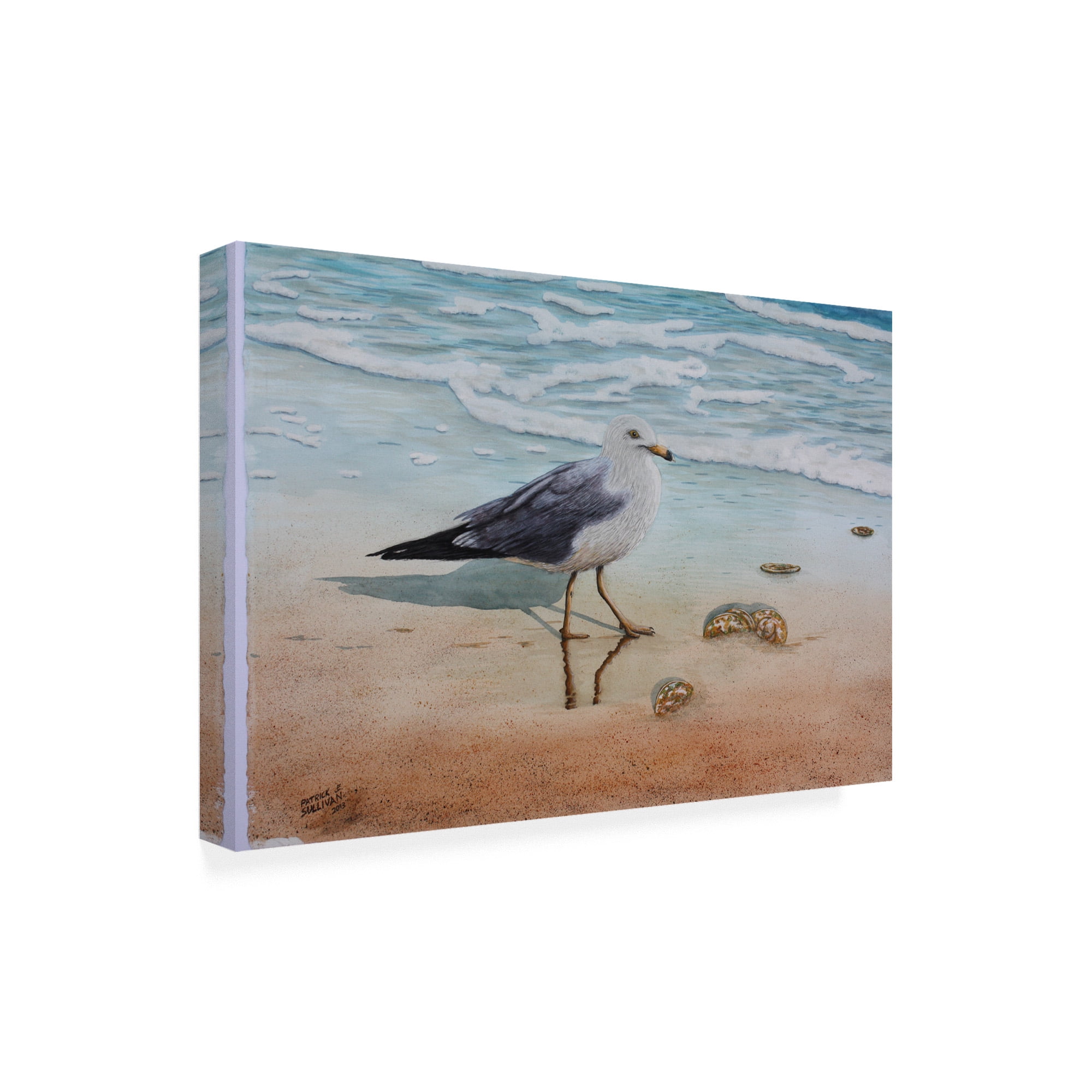 Trademark Fine Art '1 Seagull' Canvas Art by Patrick Sullivan