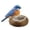 B, variant on 2026 New Bird Nest Statue Decorative - Bird Nest Figurine Collection with Artificial Birds - Decorations Symbolizing Hope and New Beginnings (Blue)