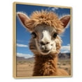 thumbnail image 2 of Designart "Alpaca Portrait Beige I" Animals Floater Framed Canvas Art Print, 2 of 7