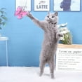 thumbnail image 2 of Pet Teaser Toy Butterfly Bell Funny Fake Fur Cat Teaser Toy Cat Teaser Wand, 2 of 6