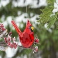 thumbnail image 3 of Ganz Elegant Cardinal Ornament, 3 of 3