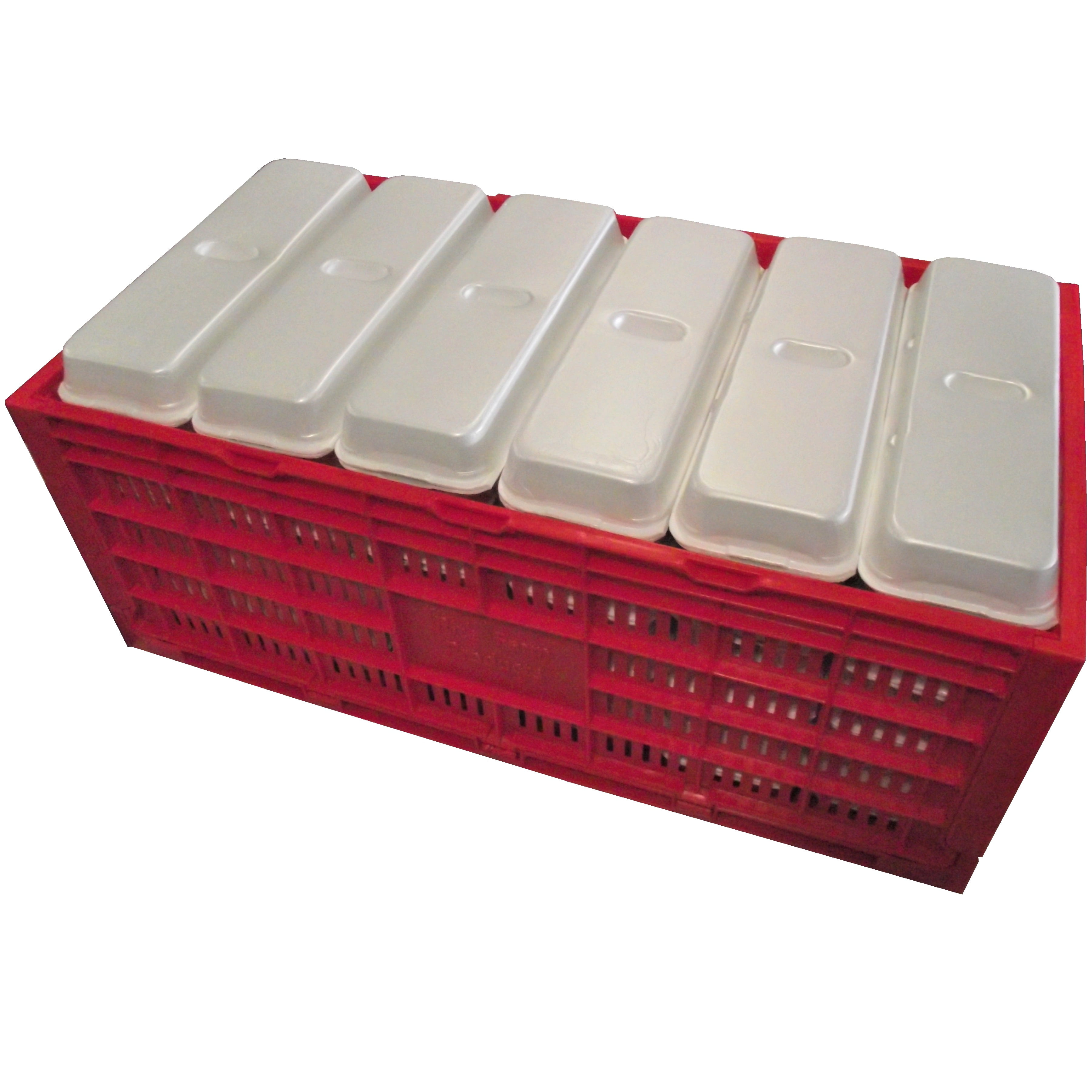 RITE FARM PRODUCTS EGG TRAY CARTON TRANSPORT CRATE CHICKEN SHIPPING POULTRY CASE